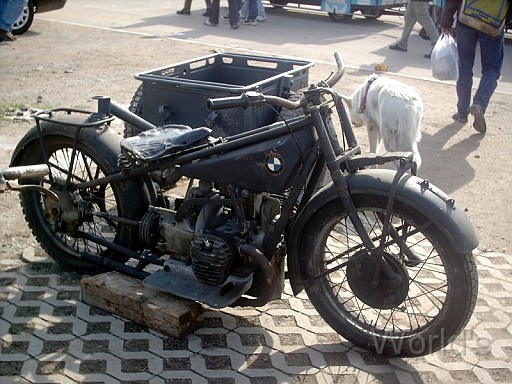 OldiesVet 016.jpg